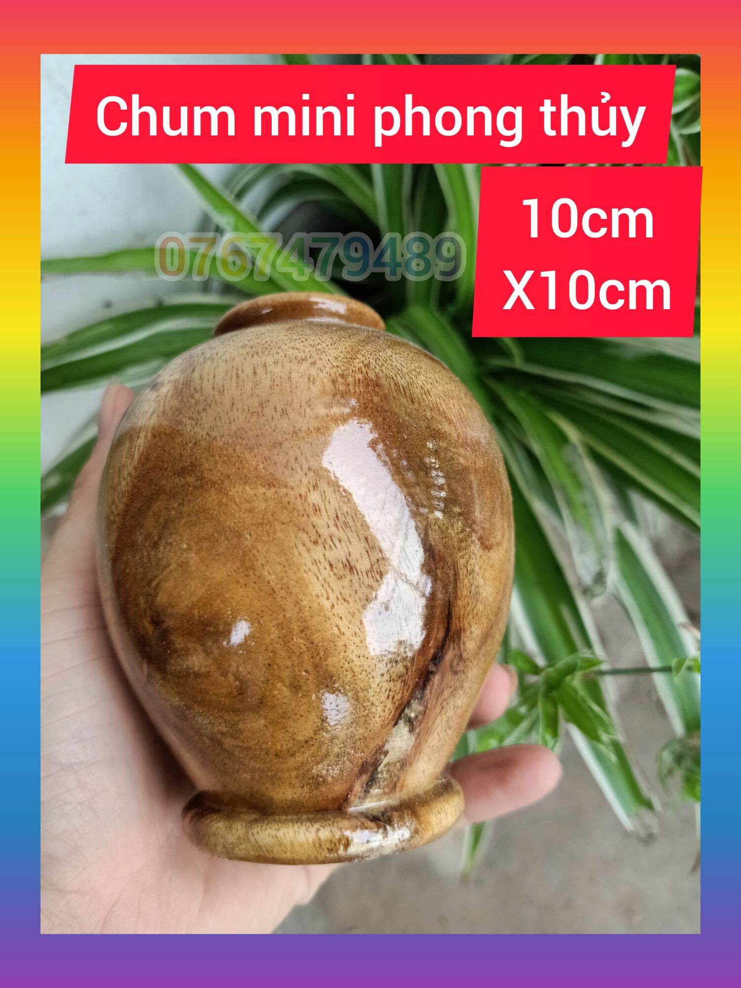 Chum phú quý phong thủy mịni gỗ tràm cao 10cm