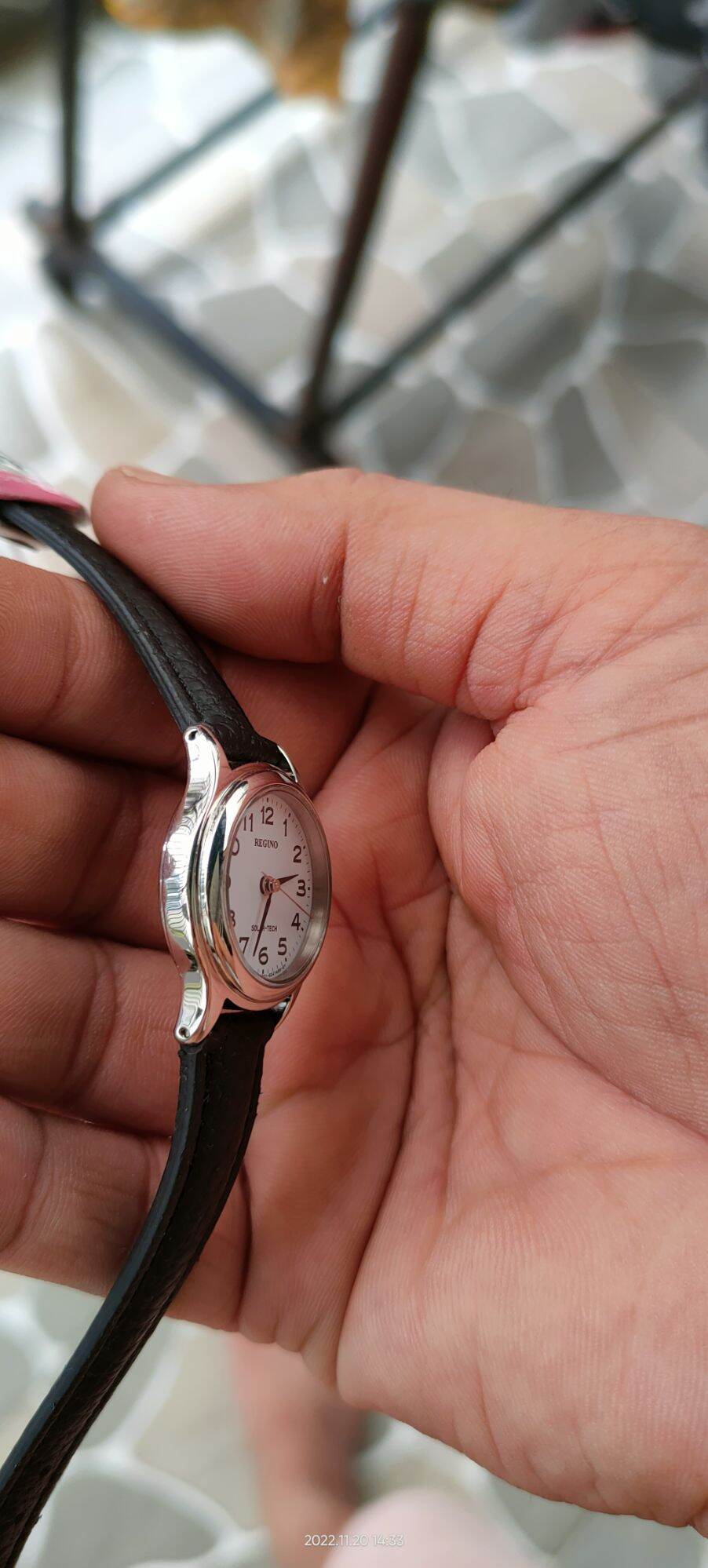 Reguno Pin năng lượng Mặt Trời