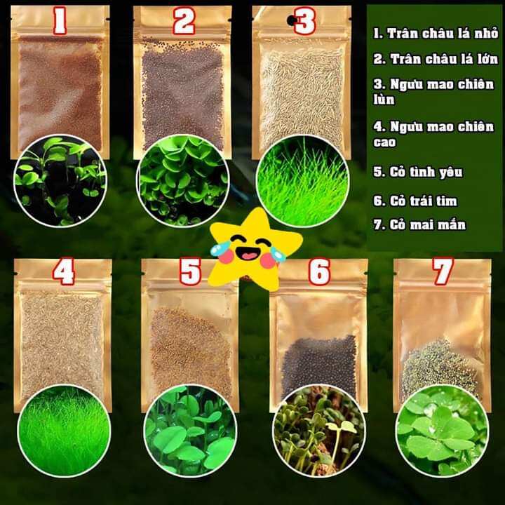 Hạt giống thủy sinh, gói 10g.