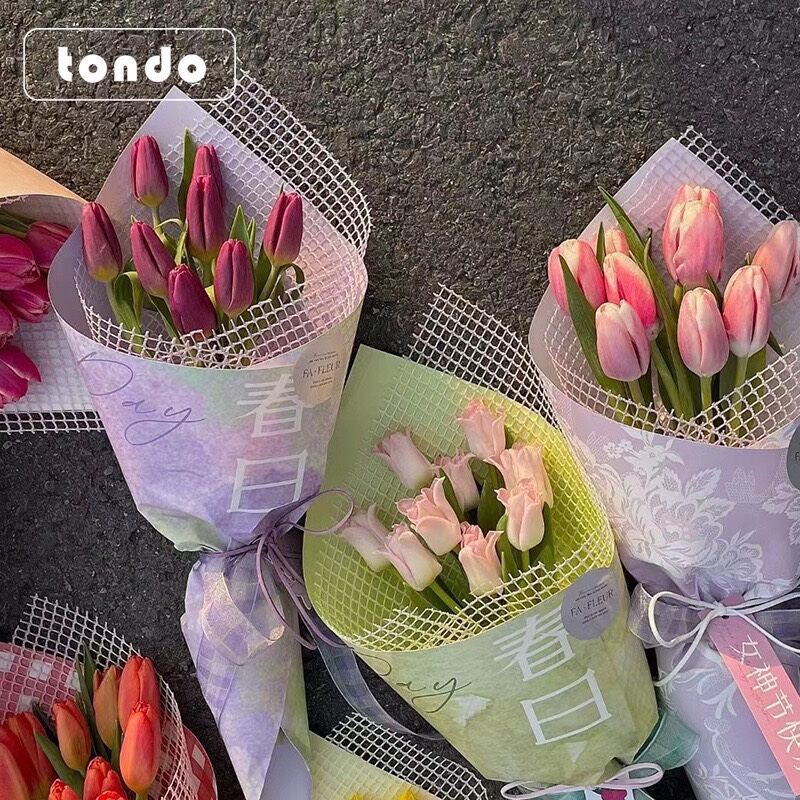 CUỘN LƯỚI Ô VUÔNG CÁC MÀU KT 50CM * 5 YARD