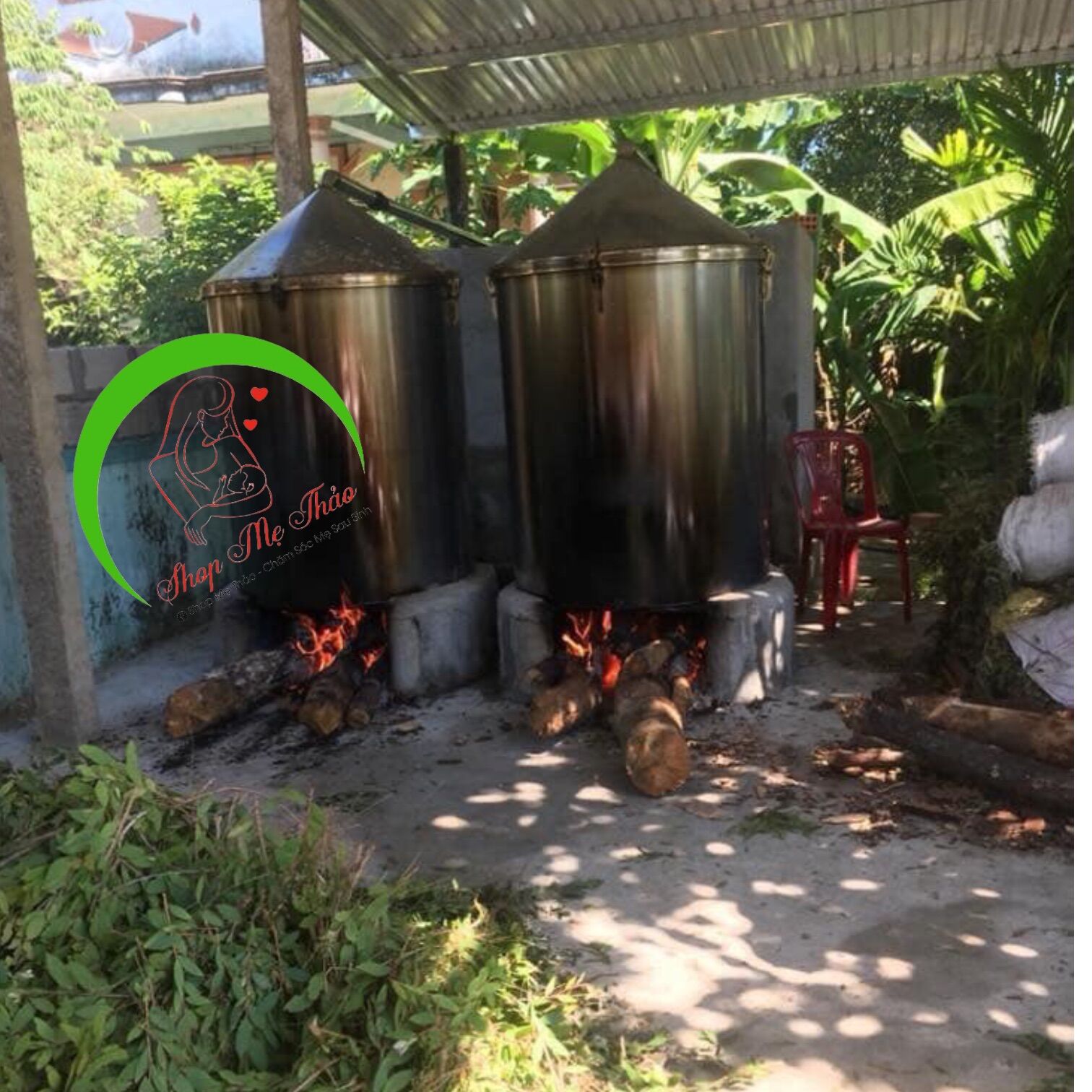 TINH DẦU TRÀM GIÓ 100% NGUYÊN CHẤT