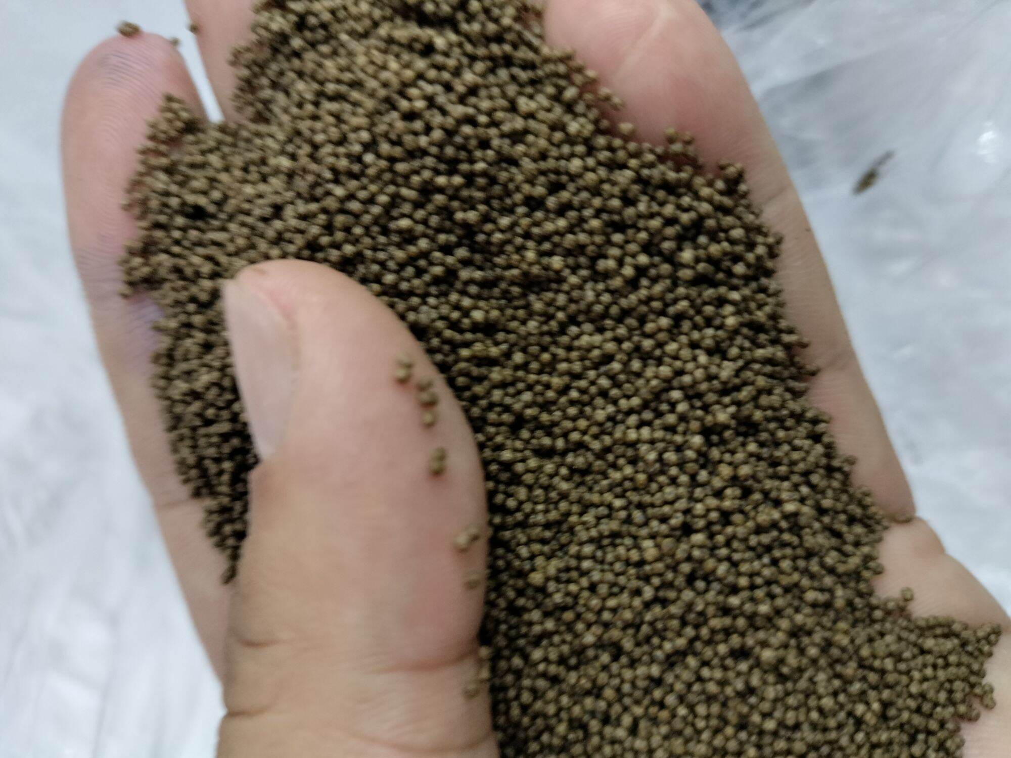 100gr thức ăn cá 7 màu viên nhỏ