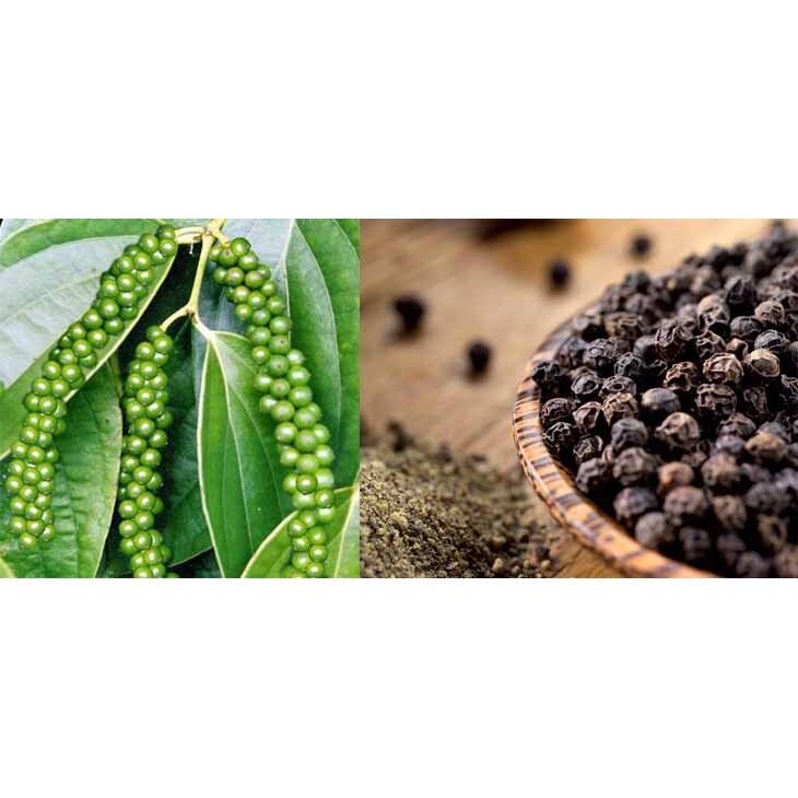 100g Hạt tiêu rừng - sạch loại 1