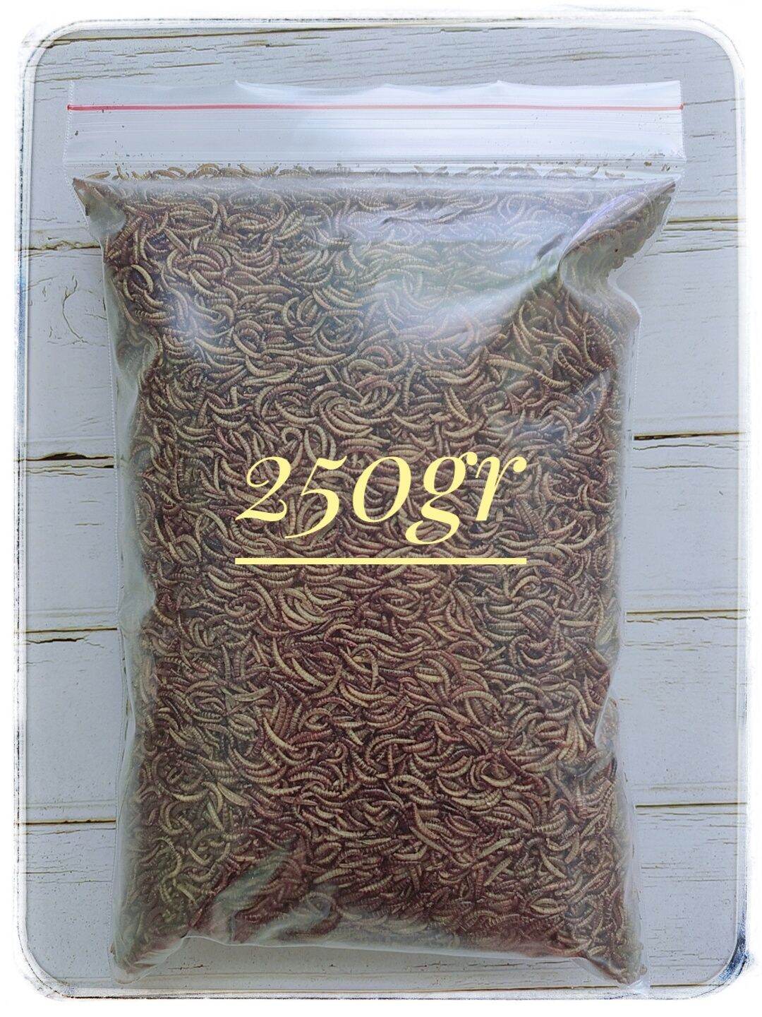[HCM] -250GR- Sâu mini ( nhỏ) sấy khô- thức ăn dành cho hamster, chim, sóc, nhím, thú cưng