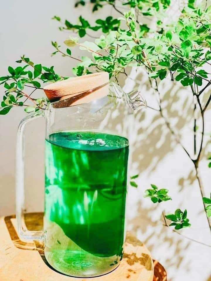 Diệp lục uni - Bột diệp lục - King Uni