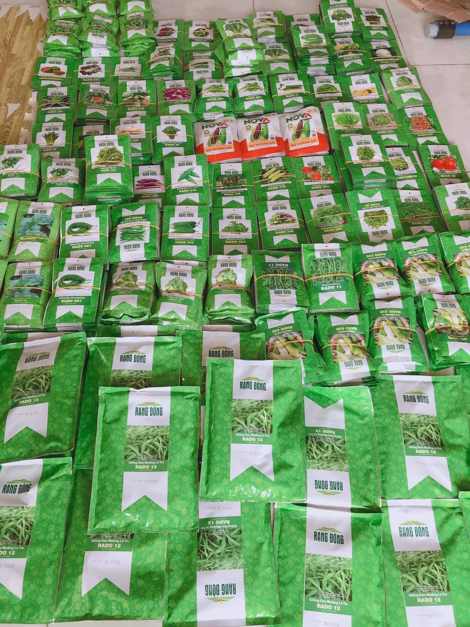 túi 20gram Hạt giống cải mơ trồng quanh năm