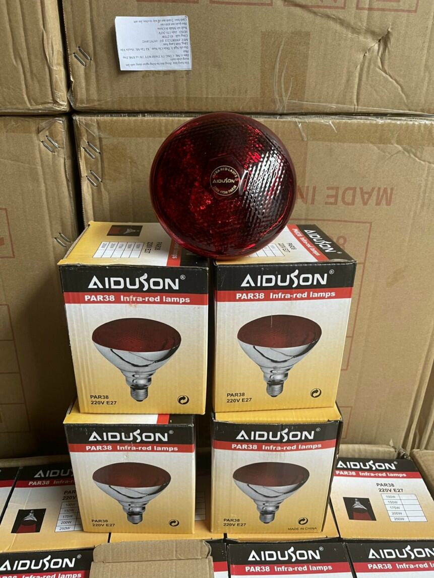 Bóng úm gà, giá cầm,... thú y cao cấp 45w,75w,100w,150w,250w..