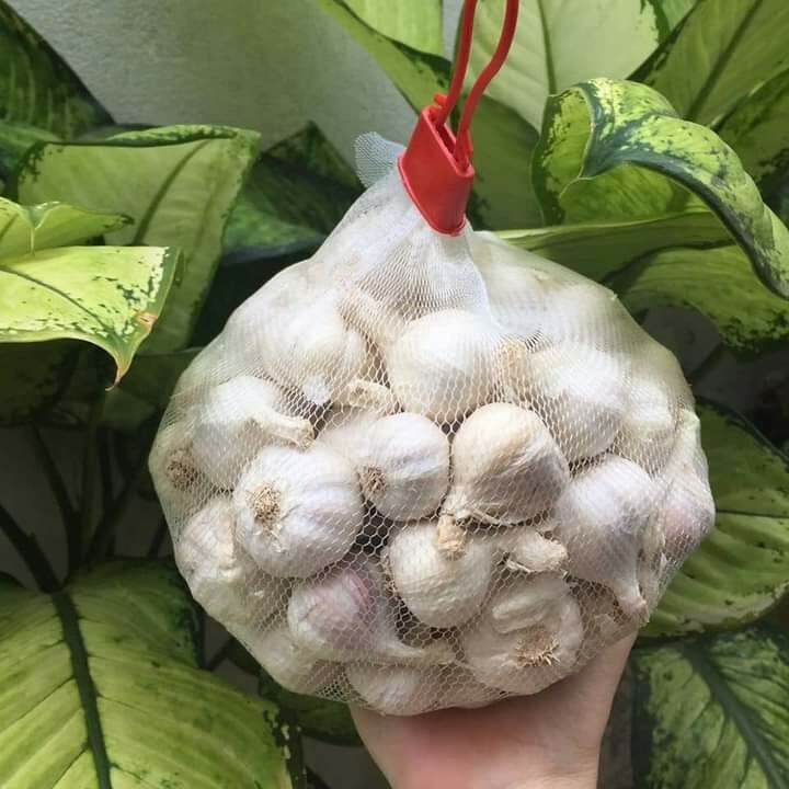 Tỏi lý sơn 1kg