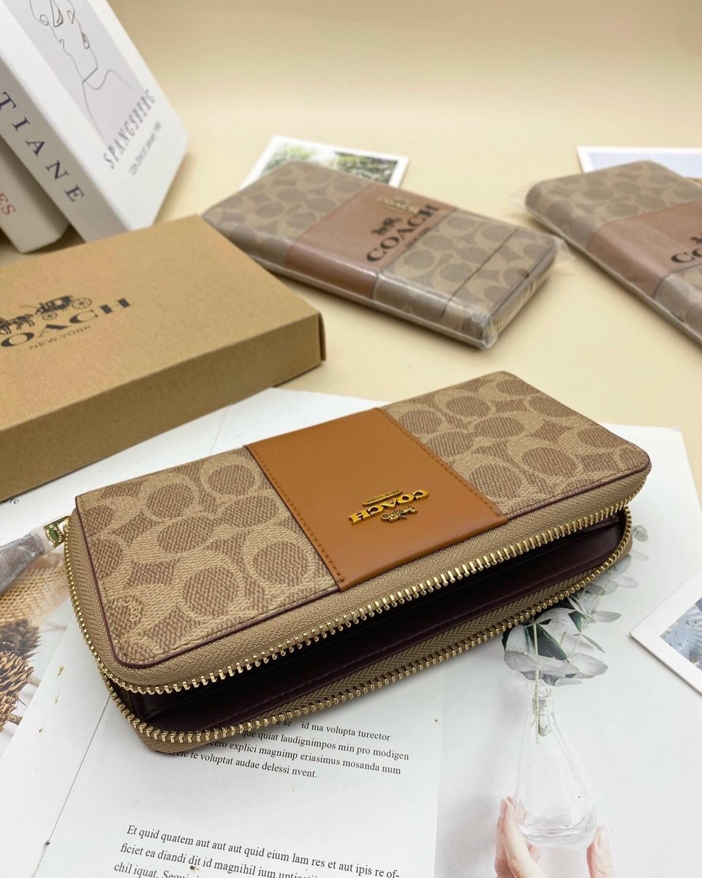 Ví dài Coach Accordion Zip