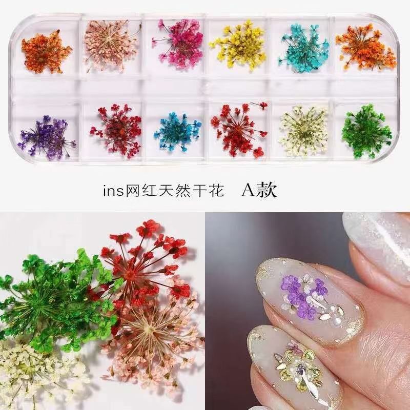 Khay hoa khô trùm baby