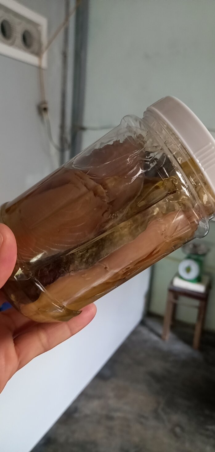 MẮM CÁ THU PHÚ YÊN( 0.5kg)