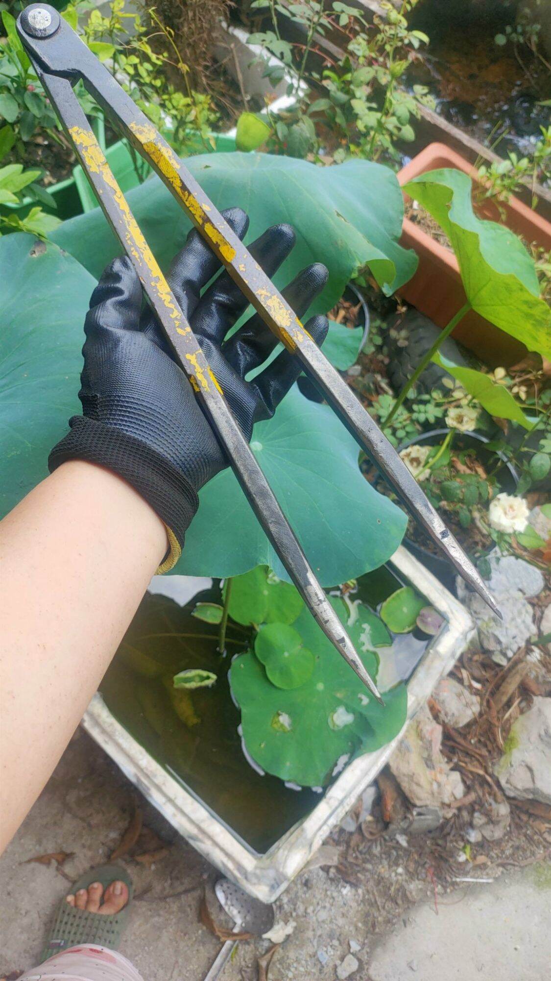 Compa vạch lấy dấu dài 420mm hàng Nhật bãi