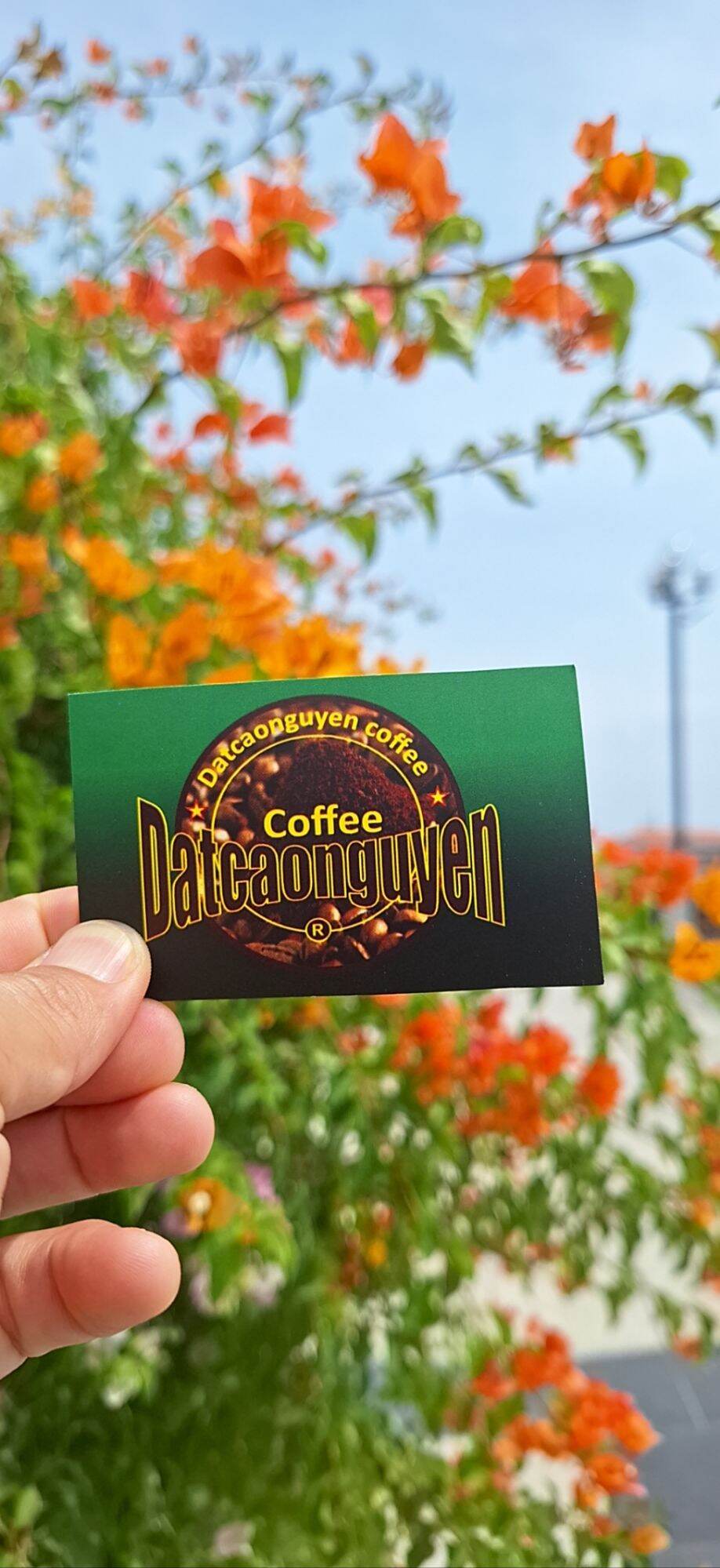CÀ PHÊ HẠT Robusta S18 rang moc pha phin