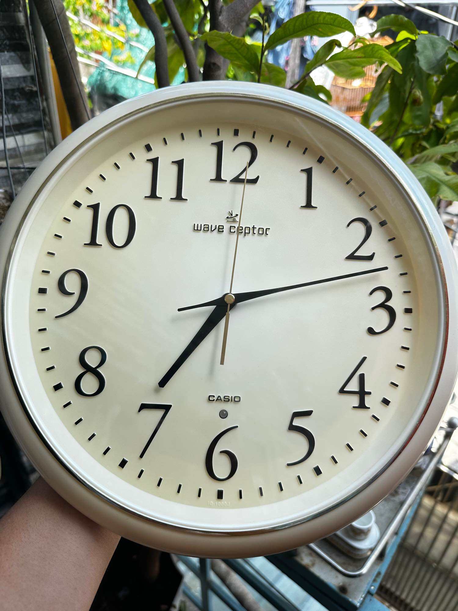 Đồng hồ treo tường casio si nhật