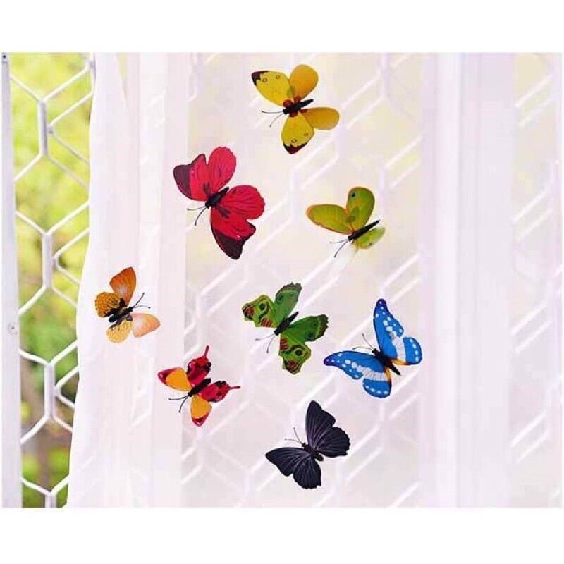 Bướm 3D trang trí