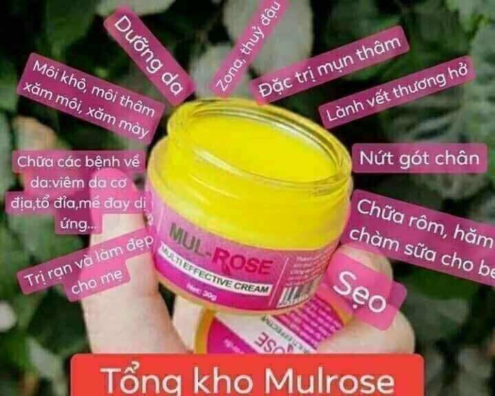 Kem nghệ đa năng