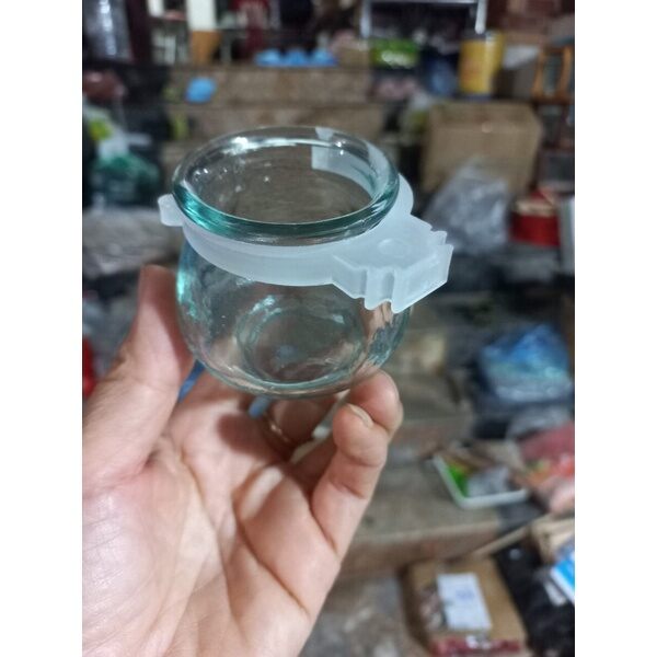 Cóng thủy tinh cho chim cu gáy