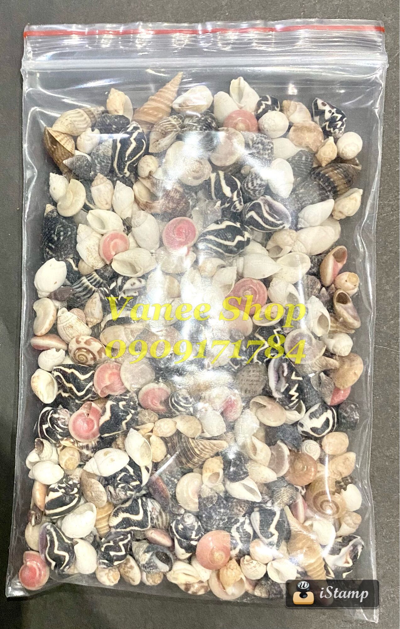Vỏ ốc mix nhí dưới 2cm 100gr