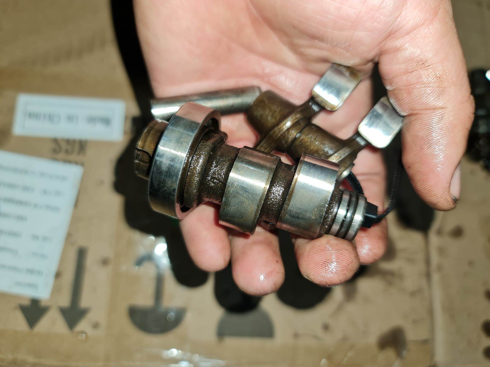 cam cò  yamaha  novo