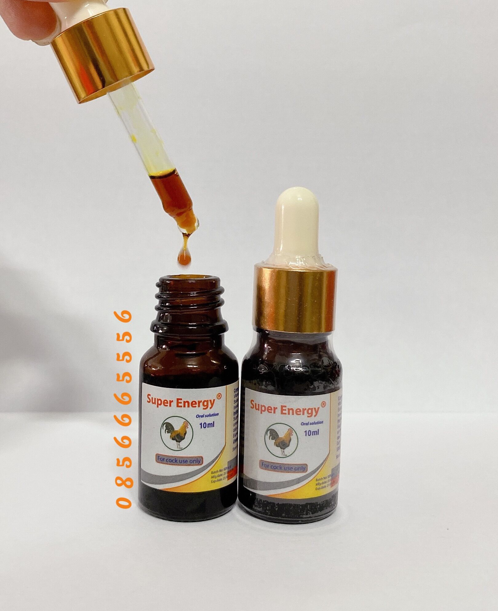 SUPER ENERGY - Tr.i gà bị lỏn lẻn , không cự