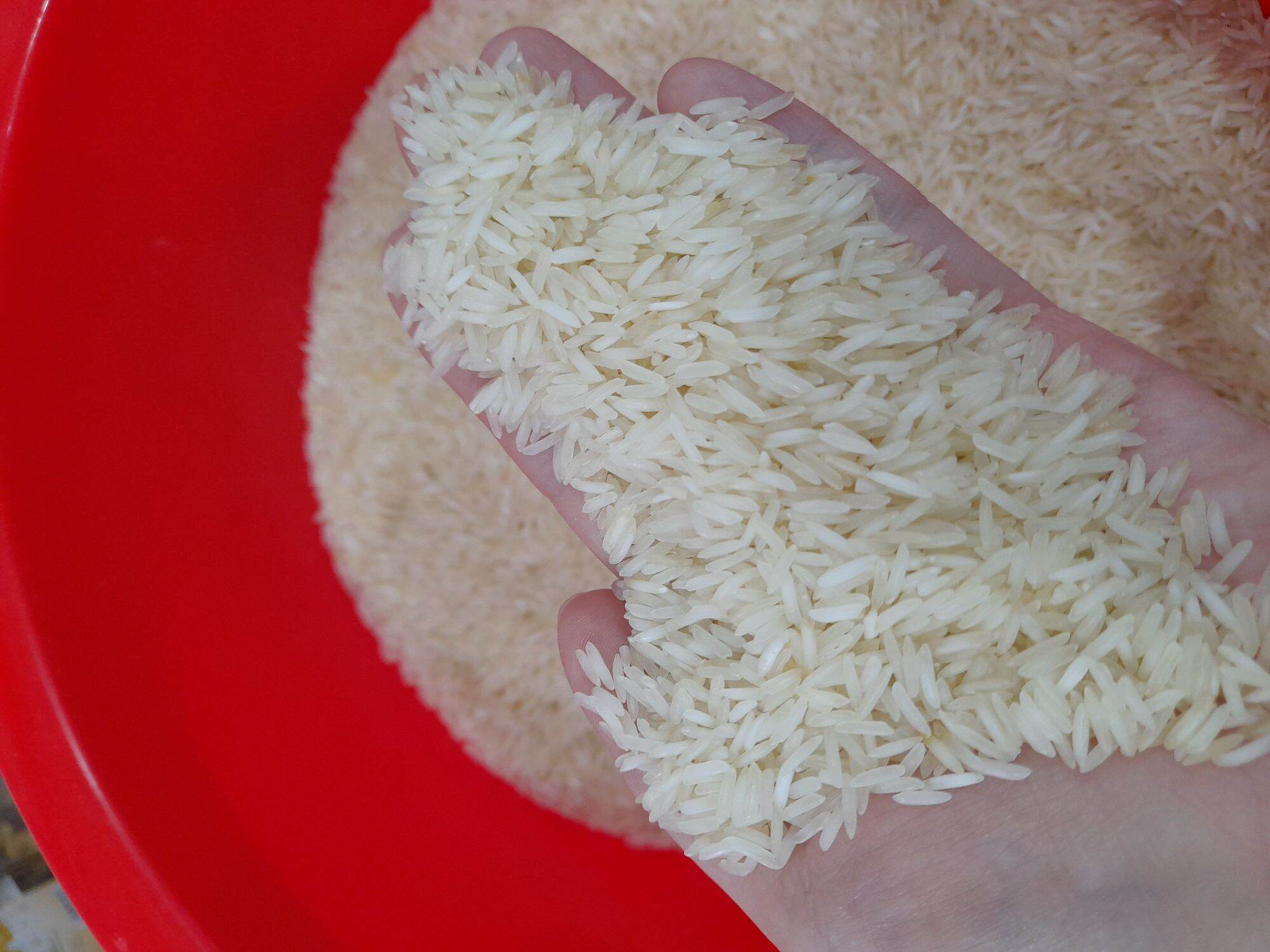 Gạo Basmati - Gạo nhập khẩu từ Ấn Độ 1kg