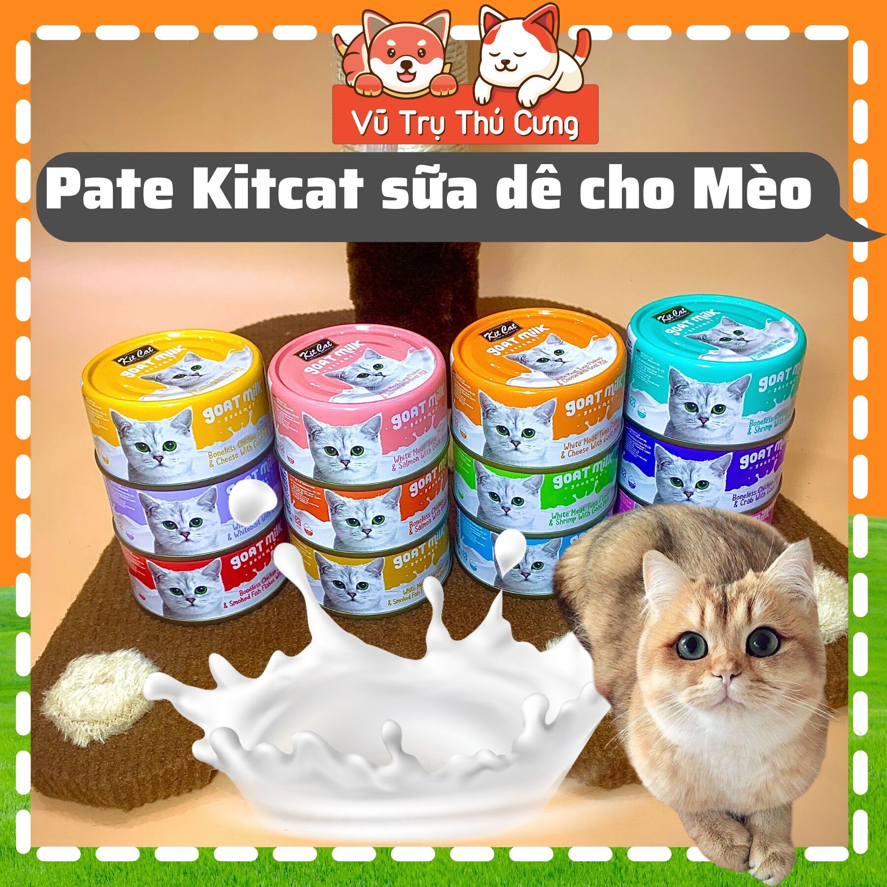 Pate kit cat sữa dê cho mèo, lon 70g