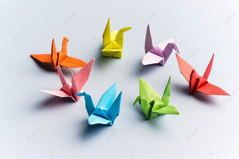 Test mẫu giấy
