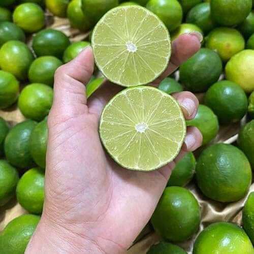 Cây Chanh Ko Hạt...đang trái