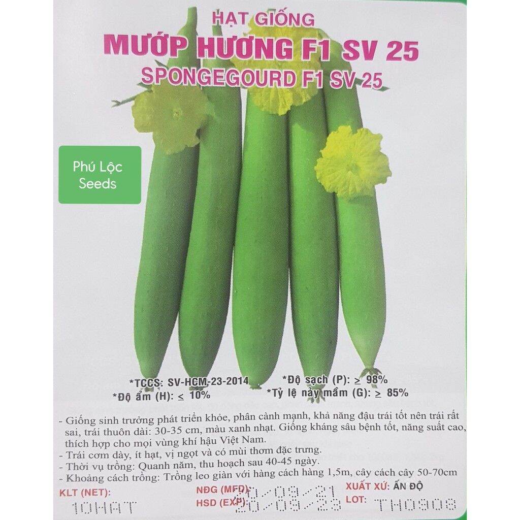 Hạt giống mướp hương F1 Ấn Độ (xanh nhạt) 10 hạt