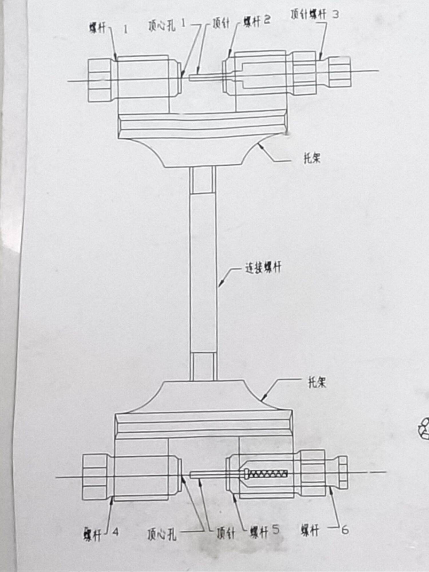 Cảo sên cam tốt
