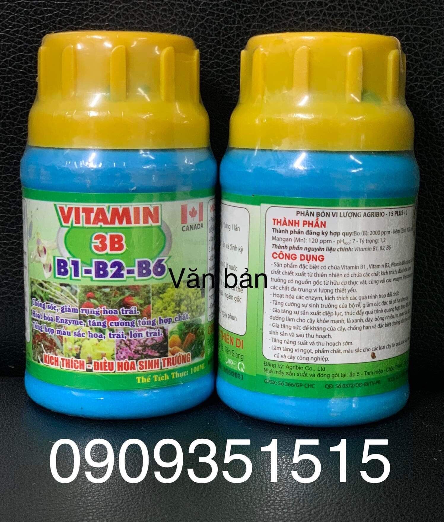Vitamin 3B (B1-B2-B6)