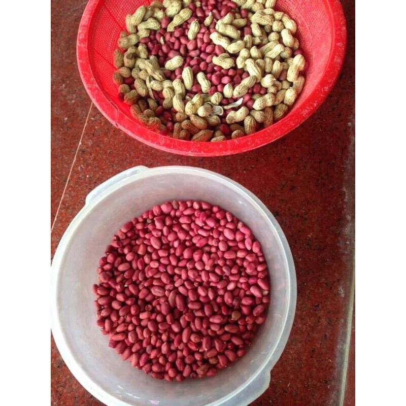 Lạc đỏ truyền thống Lạng Sơn