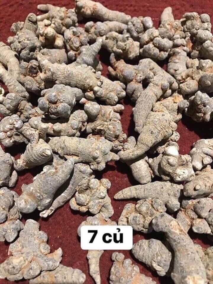 250g củ tam thất
