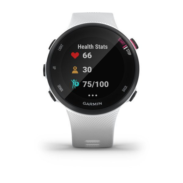 Đồng hồ thông minh Garmin Forerunner 45 45S