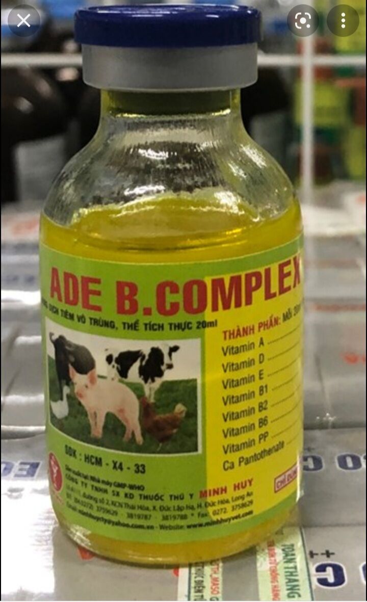 Combo 2 chai*20ml ADE Bcomplex , vitamin tăng đề kháng, thức ăn cho vật nuôi vitamin tổng hợp