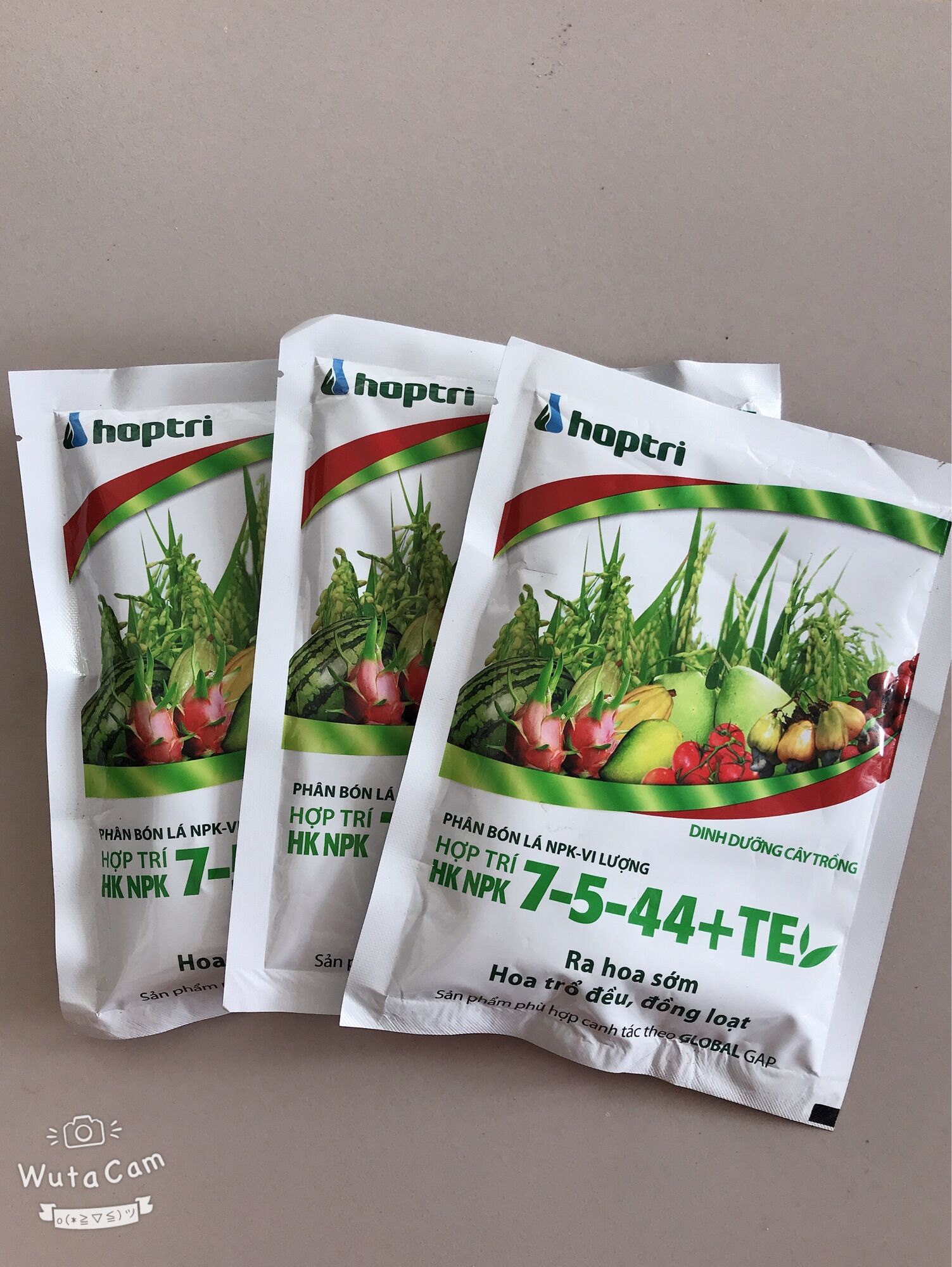 Combo 10 gói hợp trí hk 7-5-44+ te gói 250gr