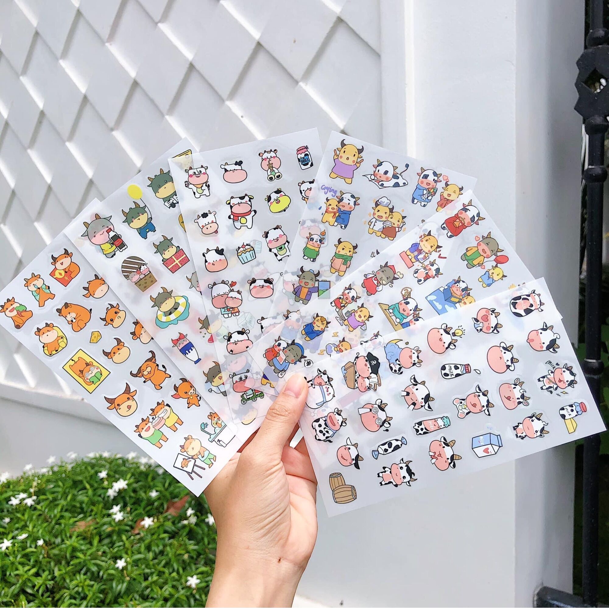 Set 6 tấm sticker bò sữa cute , hình dán bóc dán siêu dễ thương