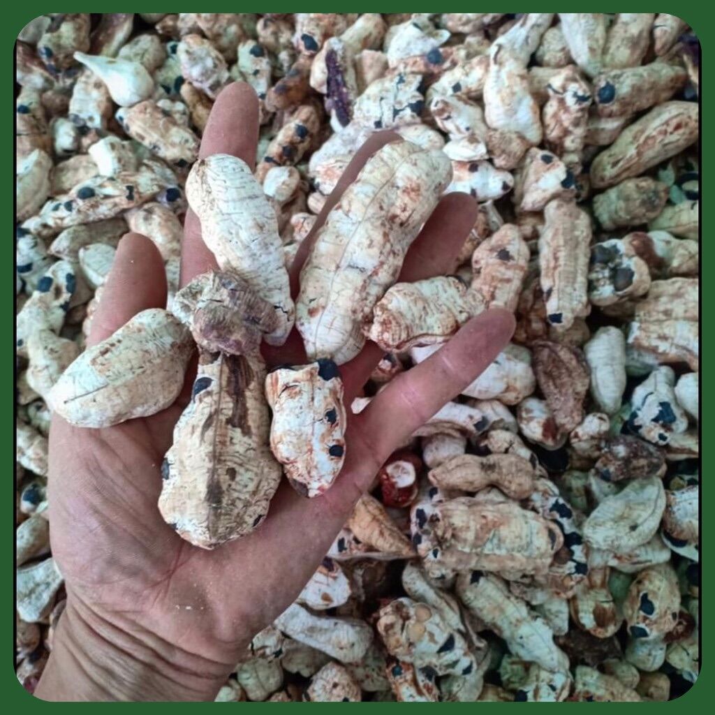 Quả chuối cô đơn 1KG - 1KG