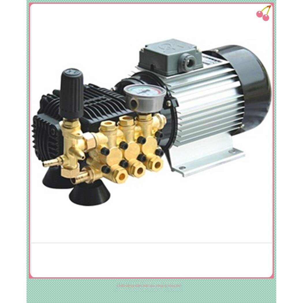 RONGWEIFU | Low Flow High Pressure Plunger Pump Giá 8,795,000 Đồng*Miễn phí vận chuyển
