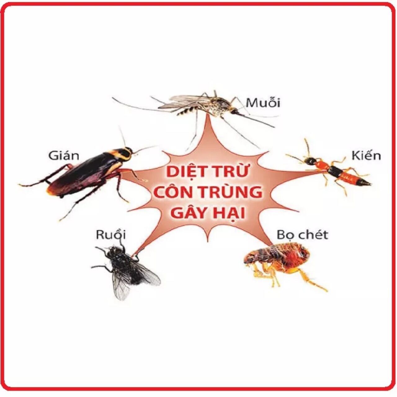 Bình xịt muỗi số 9 600ml