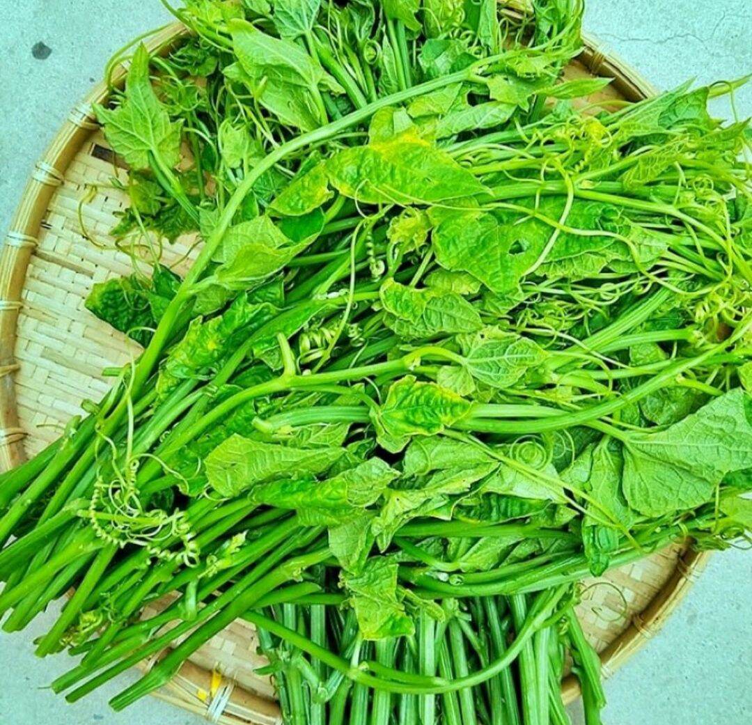 Gói 10g Hạt Giống Bí Siêu Đọt HN