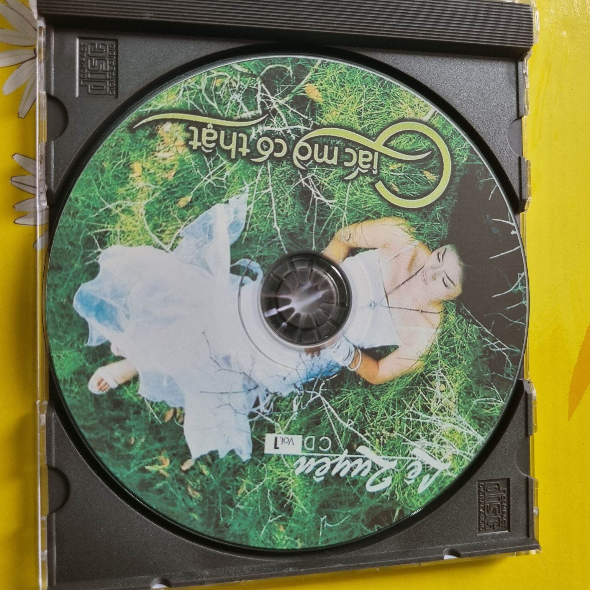 LỆ QUYÊN - GIẤC MƠ CÓ THẬT
