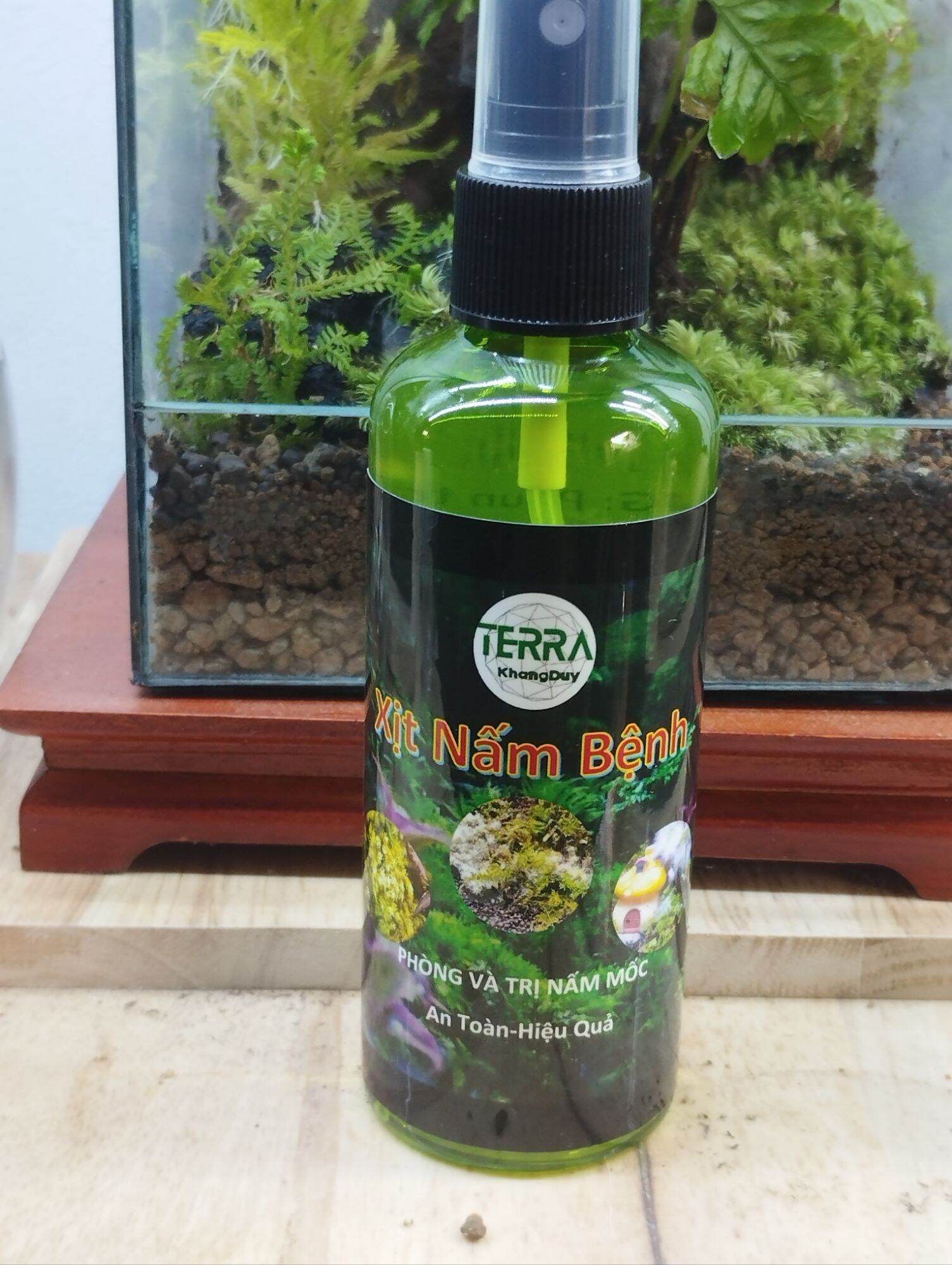 Xịt nấm, dưỡng rêu cây sỉ inb