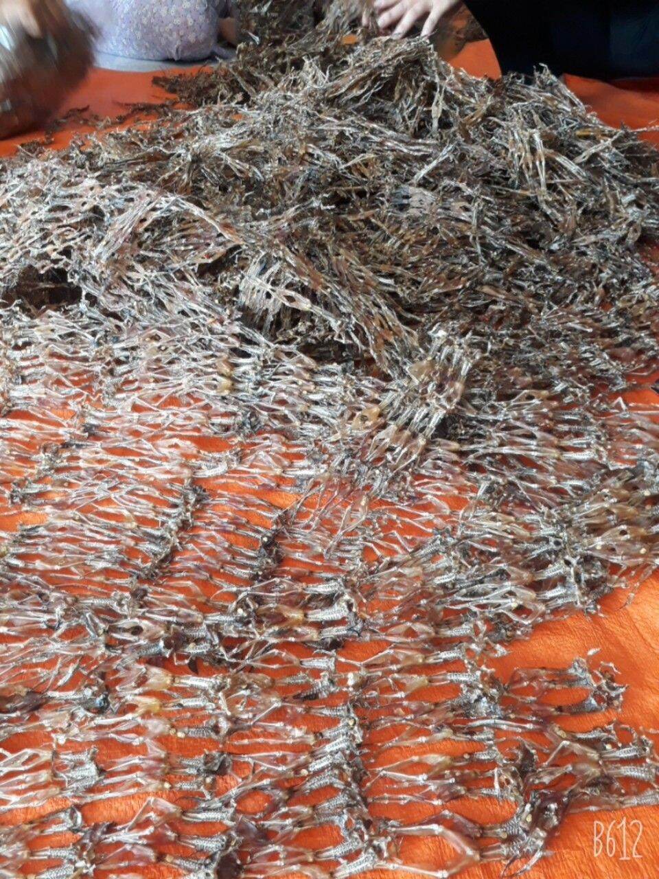 Khô Nhái Cơm ( Vũ nữ chân dài) - 500g