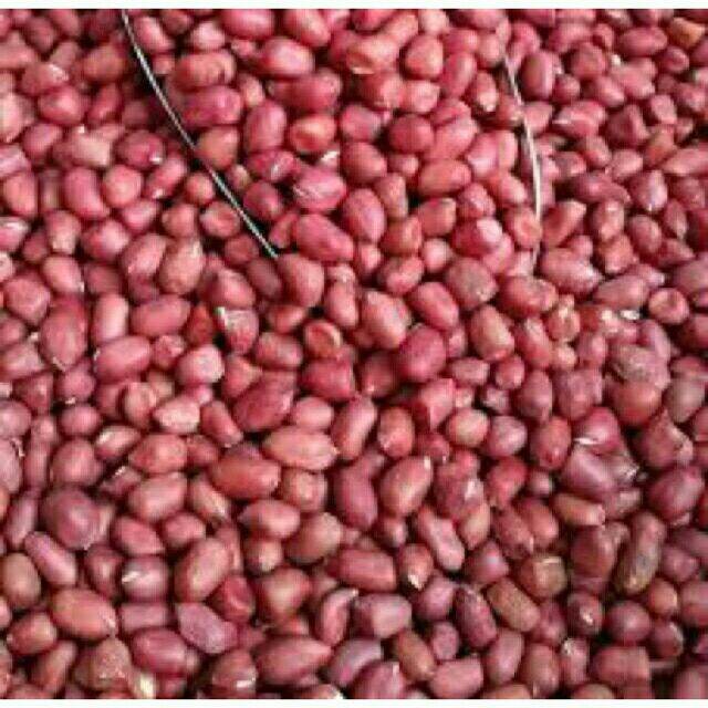 500g lạc đỏ