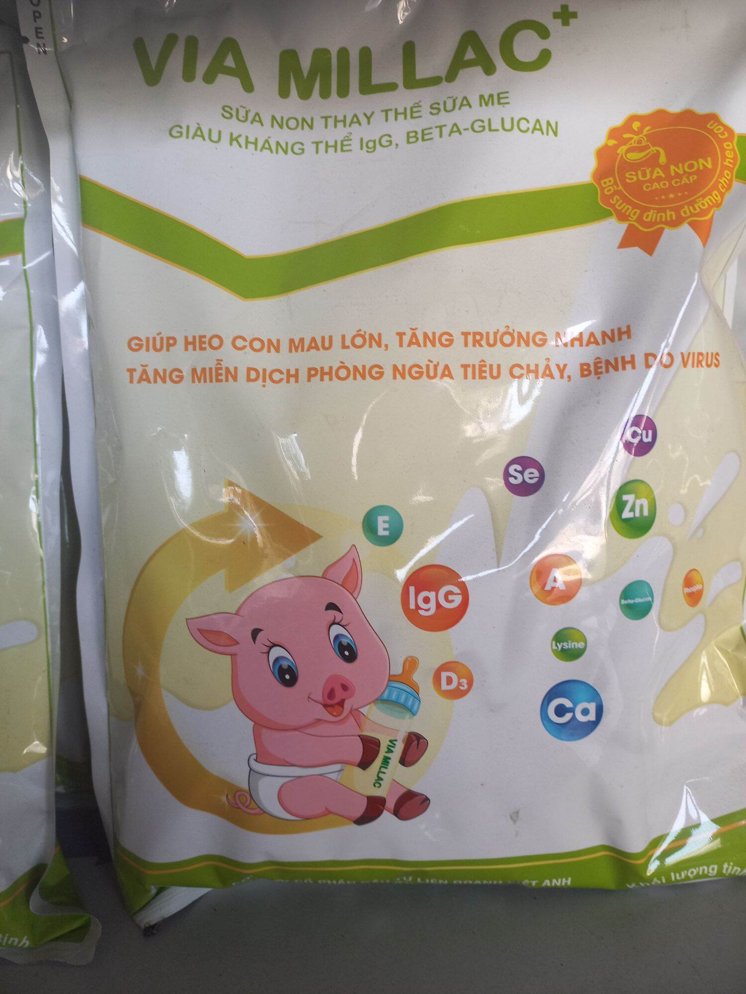 Sữa non