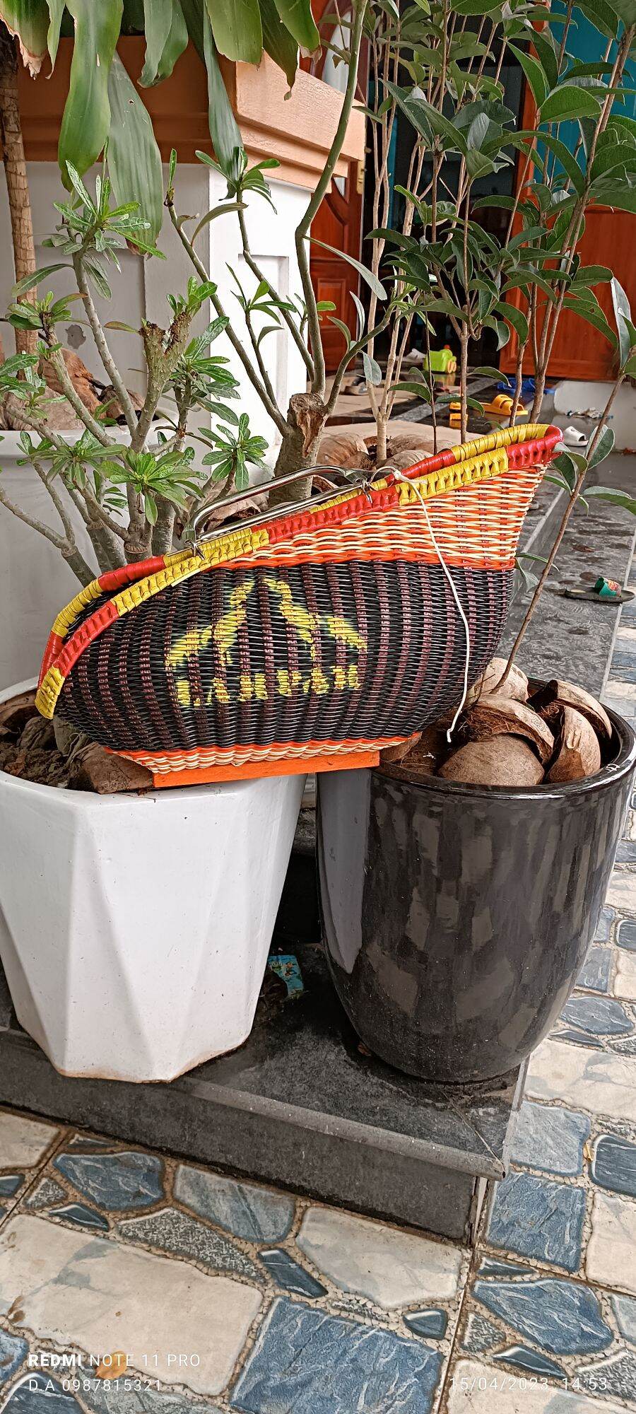 Giỏ xách gà, làn xách gà ph.ong th.ủy