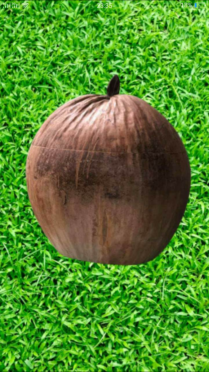 Ủ trà làm từ trái dừa kèm ấm tích