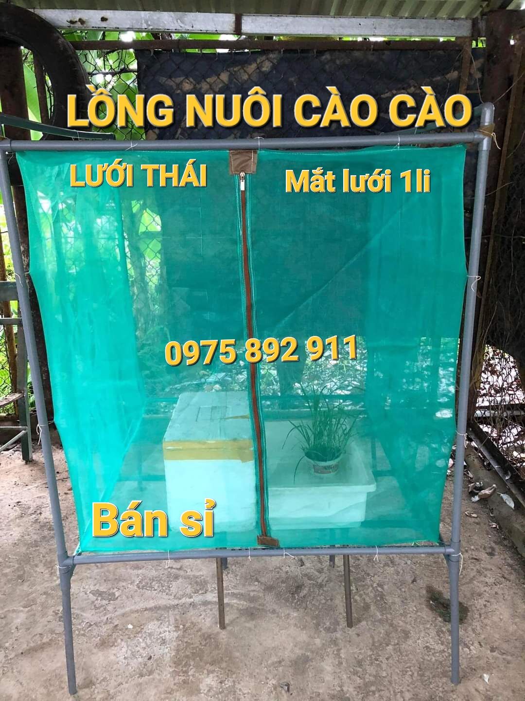 Lồng nuôi cào cào, mùng nuôi châu chấu 1x1x1 có đáy lưới thái