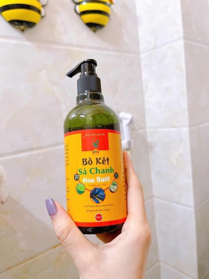 Dầu gội bồ kết sả chanh hoa bưởi daichiso việt nhật